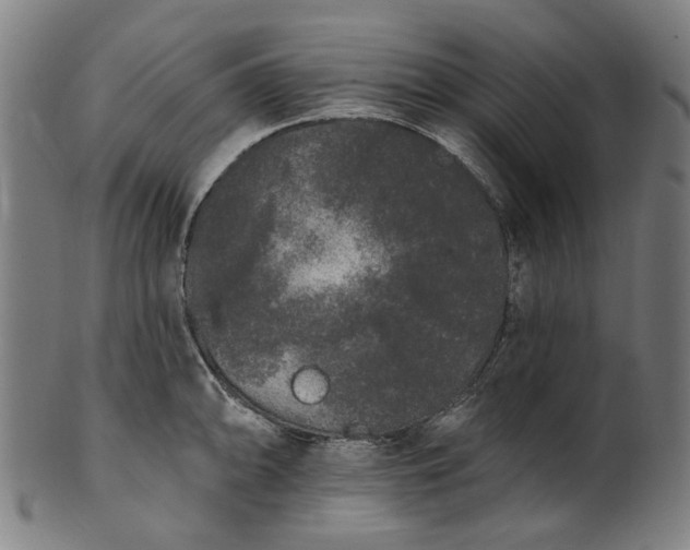 X0000101231094200807111114