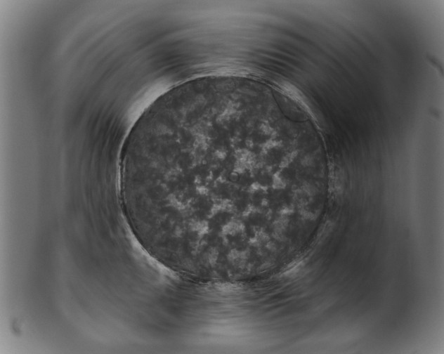 X0000101231095200807111114