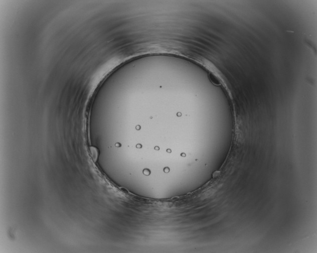 X0000101231096200807111114