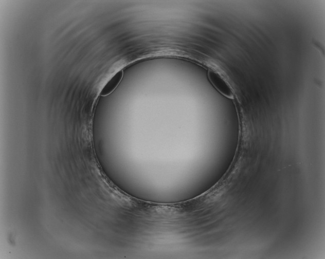 X0000101231097200807111114