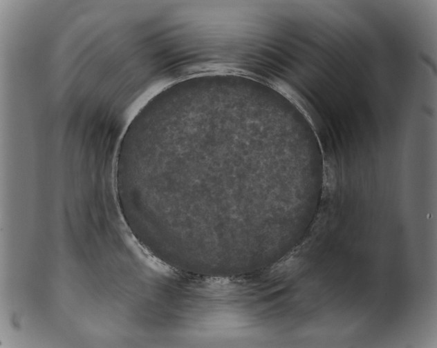 X0000101231098200807111114