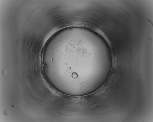 X0000101231099200807111114