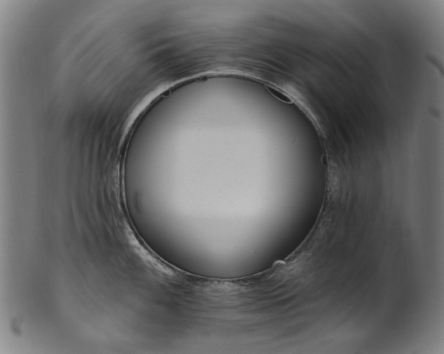 X0000101231100200807111114