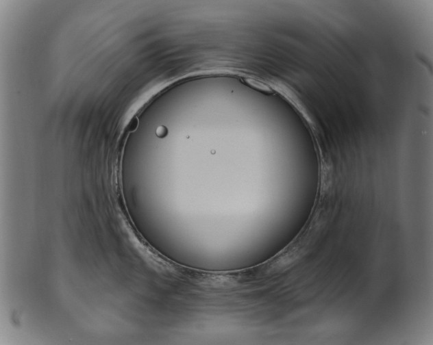 X0000101231101200807111114