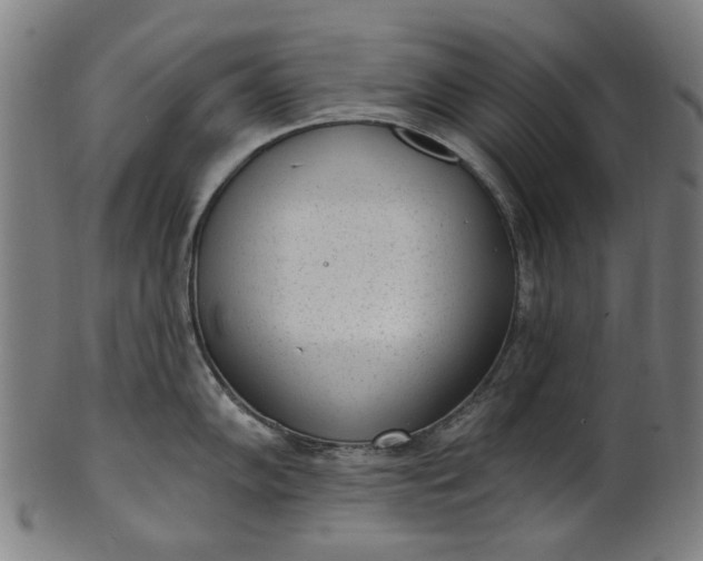 X0000101231102200807111114