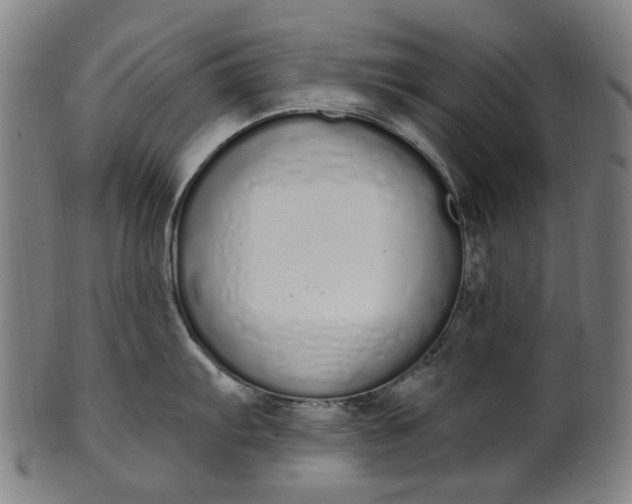 X0000101231103200807111114