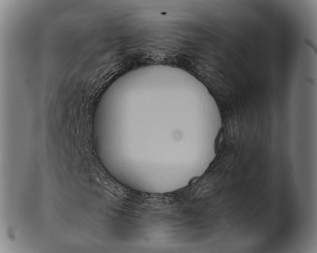 X0000101231105200807111113