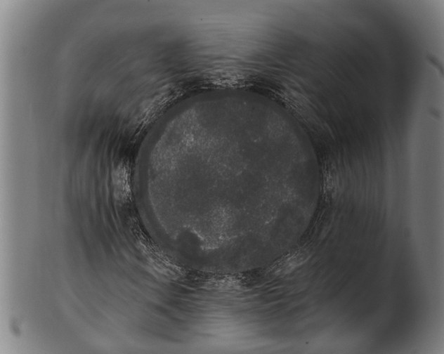 X0000101231106200807111113