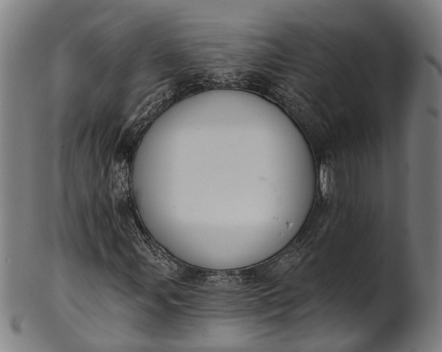 X0000101231107200807111113