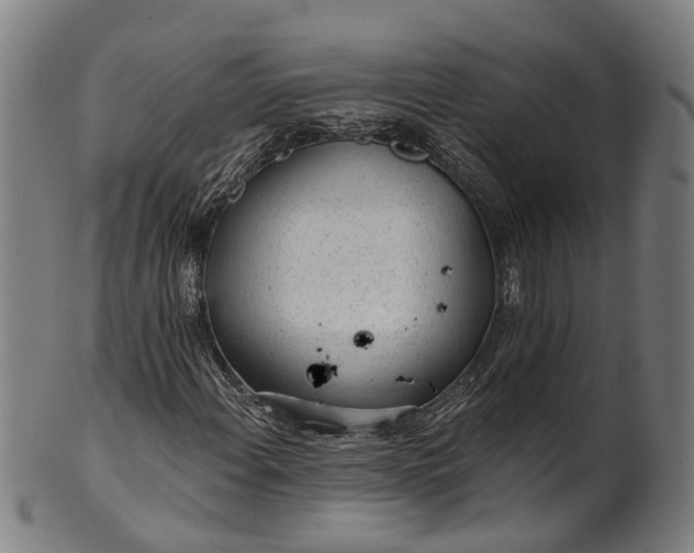 X0000101231108200807111113