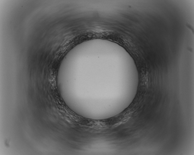 X0000101231109200807111113