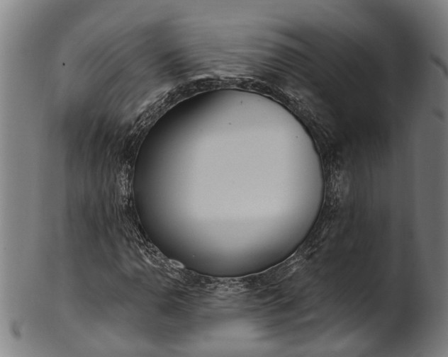 X0000101231110200807111113