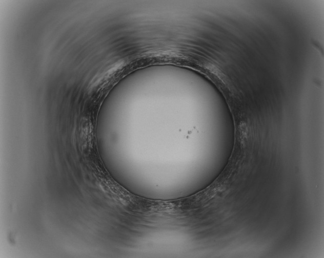 X0000101231111200807111113