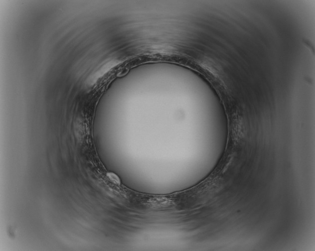 X0000101231112200807111113