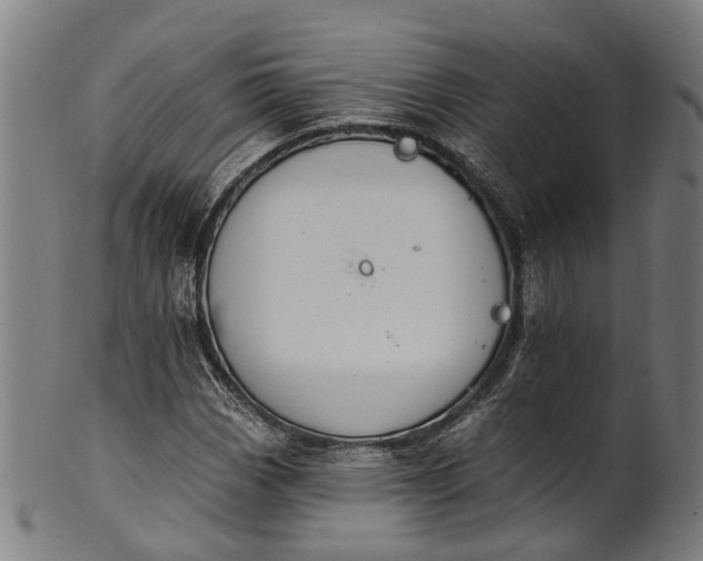 X0000101231113200807111113