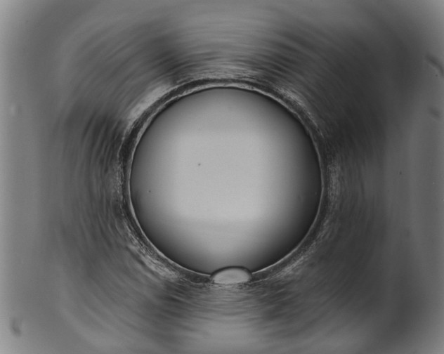 X0000101231114200807111113