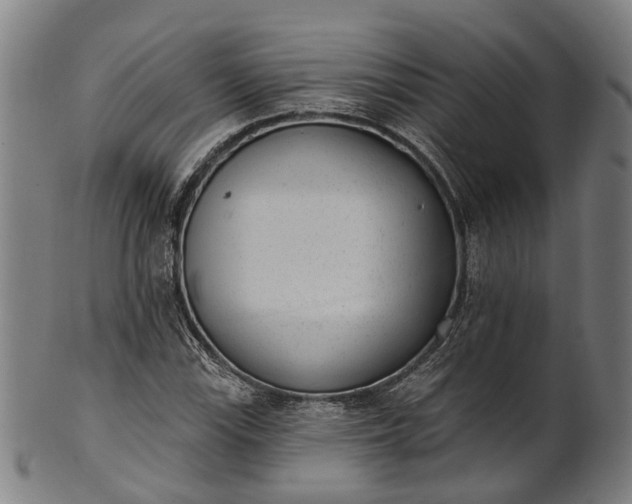 X0000101231115200807111113