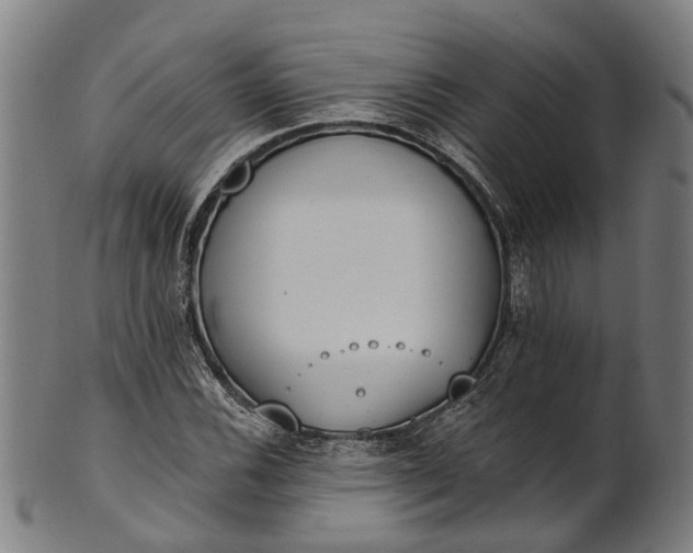 X0000101231116200807111113