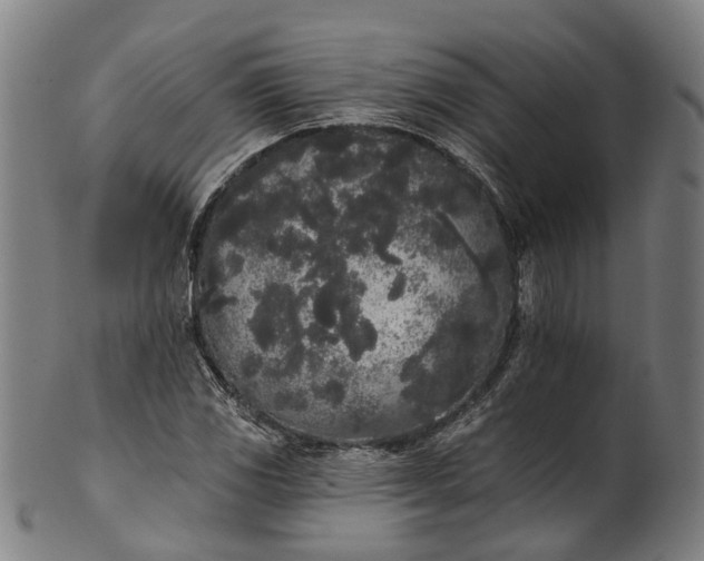 X0000101231117200807111113