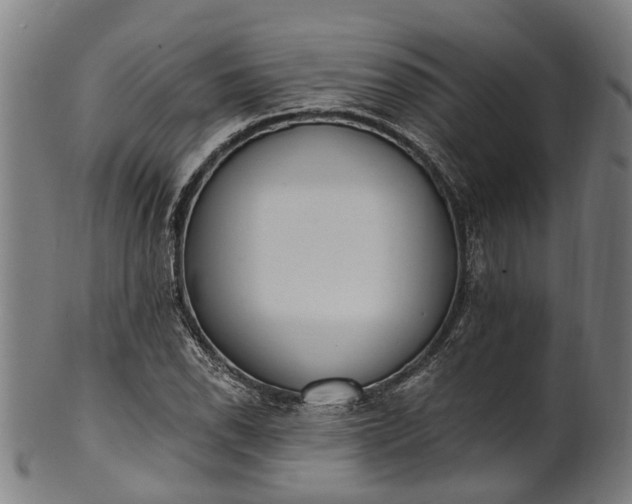 X0000101231118200807111113