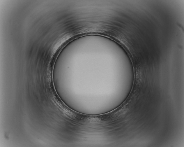 X0000101231119200807111113