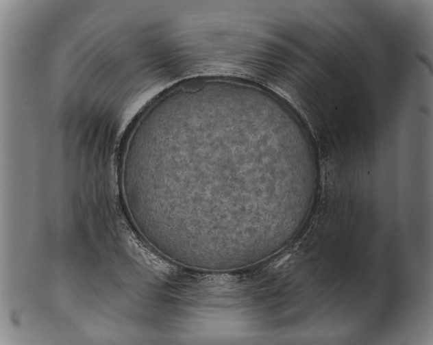 X0000101231120200807111114