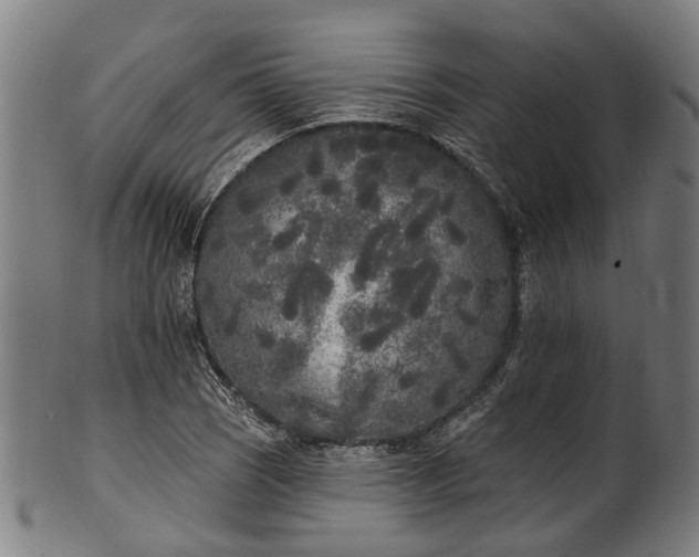 X0000101231121200807111114