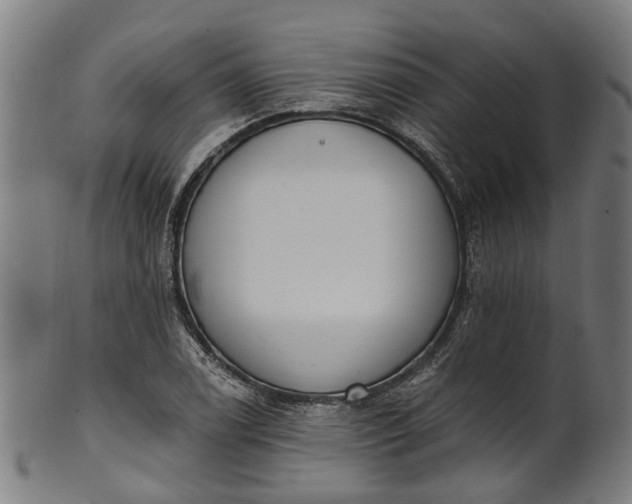 X0000101231122200807111114