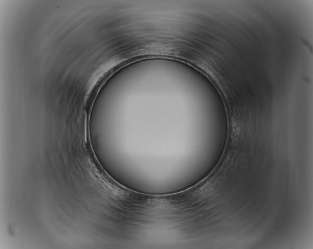 X0000101231123200807111114