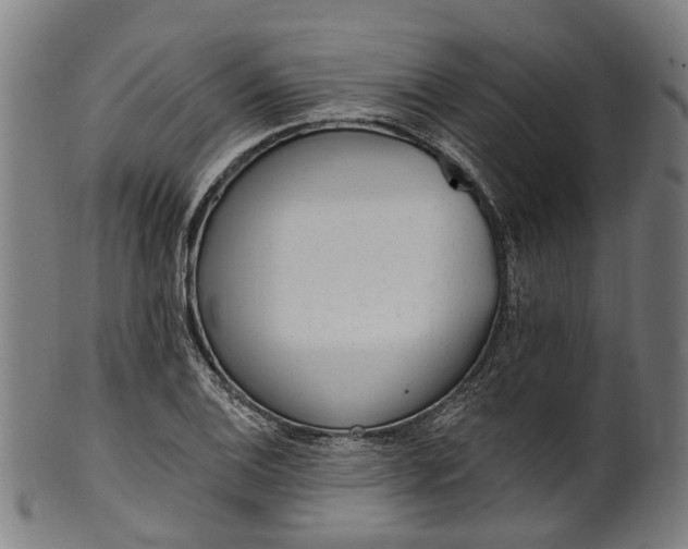 X0000101231124200807111114