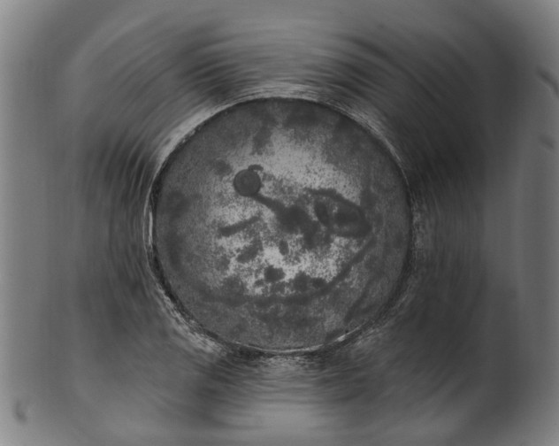 X0000101231125200807111114