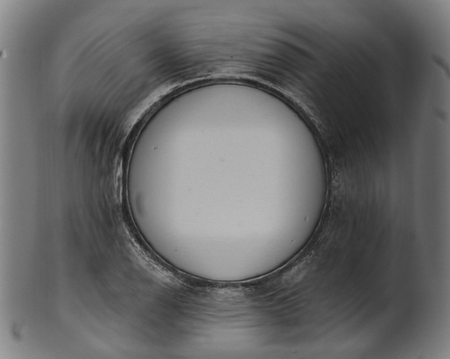 X0000101231126200807111114