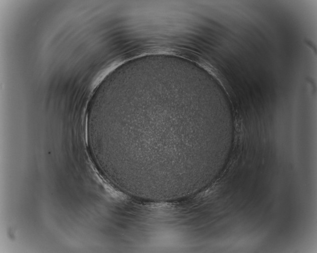 X0000101231127200807111114