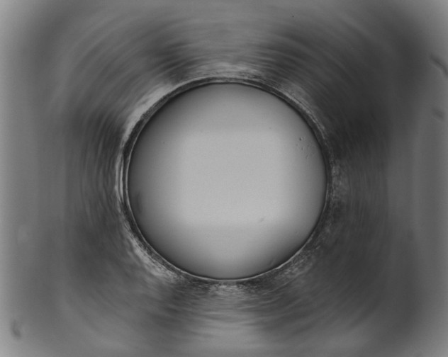 X0000101231128200807111114