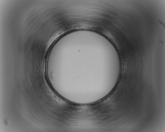 X0000101231130200807111114