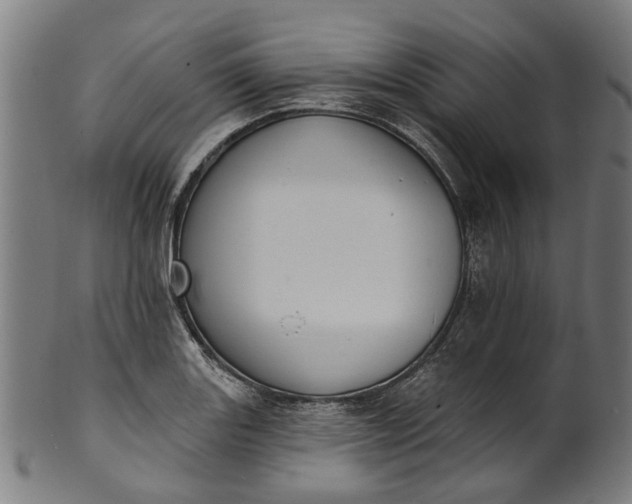 X0000101231131200807111114