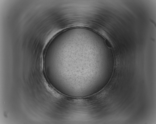 X0000101231132200807111114