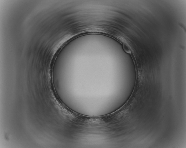 X0000101231133200807111114