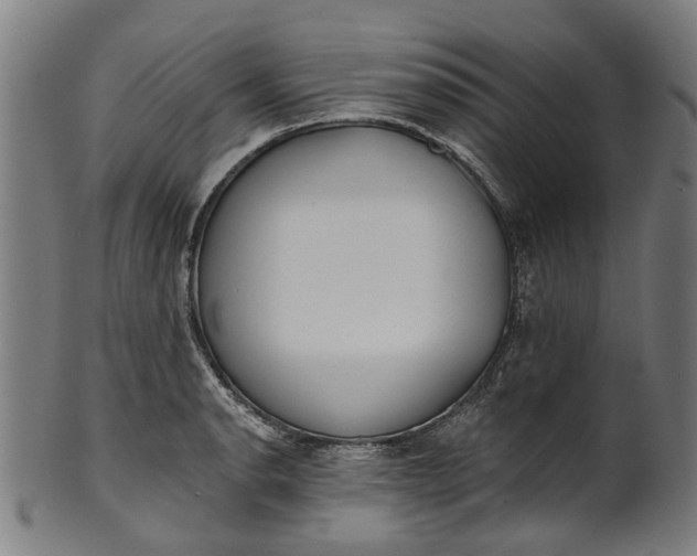 X0000101231134200807111114