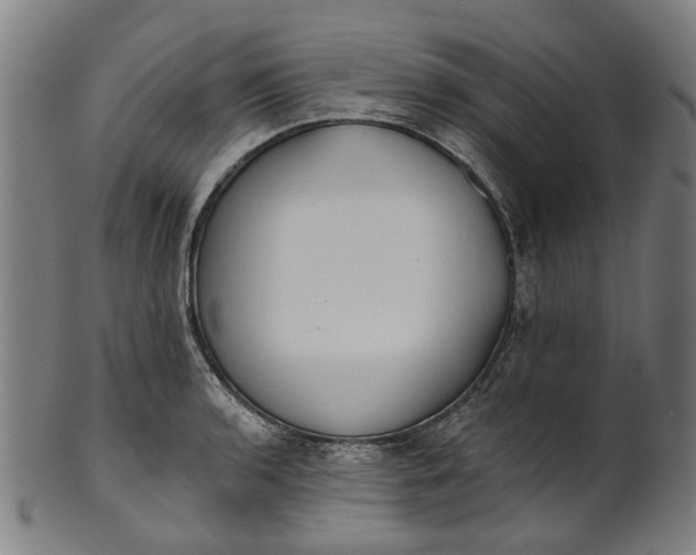 X0000101231136200807111114