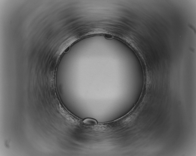 X0000101231137200807111114