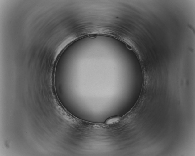 X0000101231138200807111114