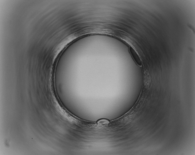 X0000101231139200807111114