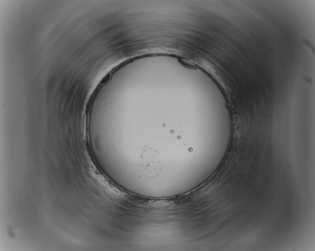 X0000101231140200807111114