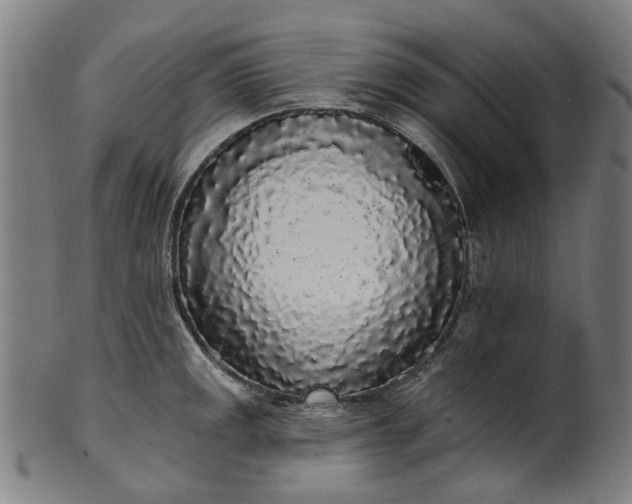 X0000101231141200807111114