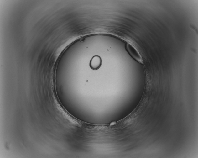 X0000101231142200807111114