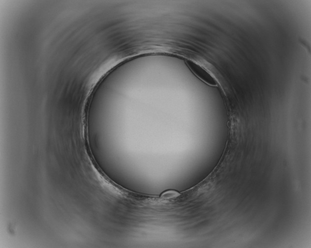 X0000101231143200807111114