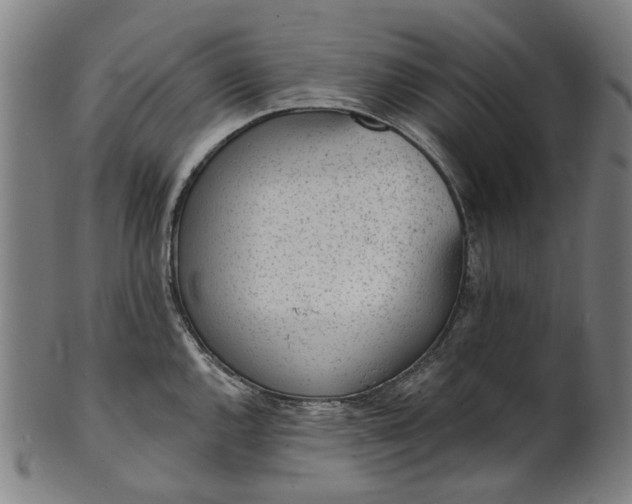 X0000101231144200807111114