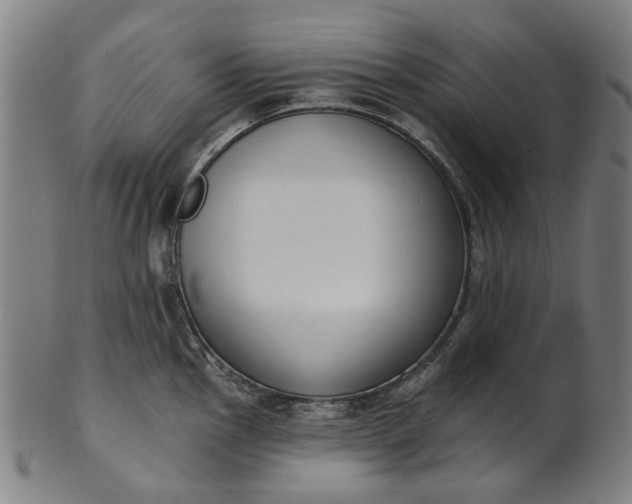 X0000101231145200807111114