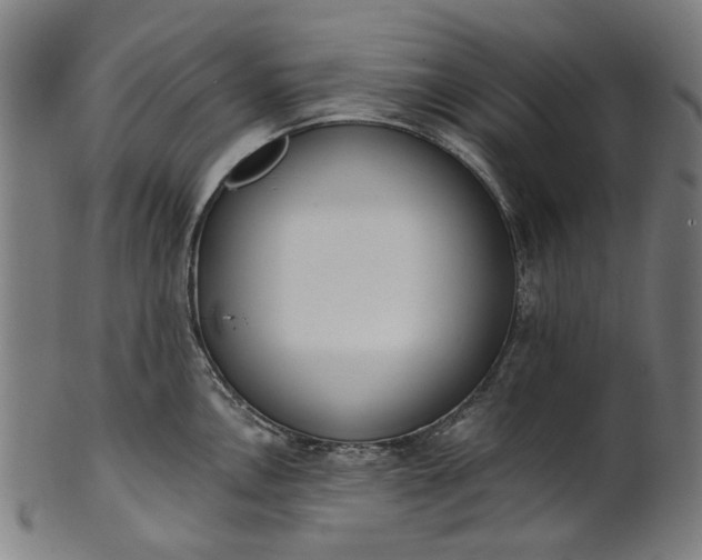 X0000101231146200807111114